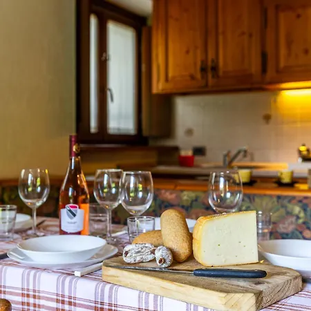 Chalet Pontal 10 - Park & Garden
